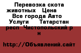 Перевозка скота животных › Цена ­ 39 - Все города Авто » Услуги   . Татарстан респ.,Чистопольский р-н